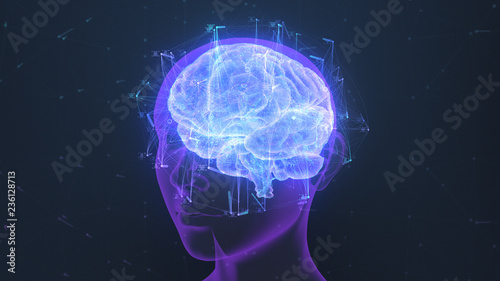 3D render of a holographic digital style human brain conveying the idea of artificial intelligence, bio hacking and the fusion of nature, technology and science