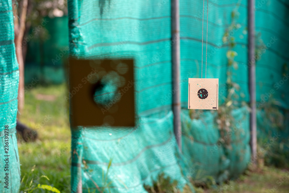 Shooting paper targets with holes in the middle from accurating shoots