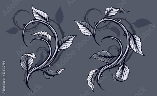 Graphic detailed black and white rose branch, stem with leaves, thorns and shadows. Isolated on gray background. Vector icon set. Vol. 5