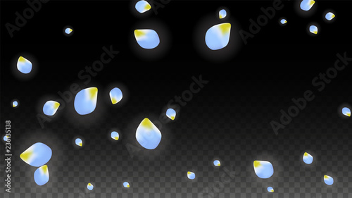 Vector Realistic Blue Petals Falling on Transparent Background.  Spring Romantic Flowers Illustration. Flying Petals. Sakura Spa Design. Blossom Confetti.