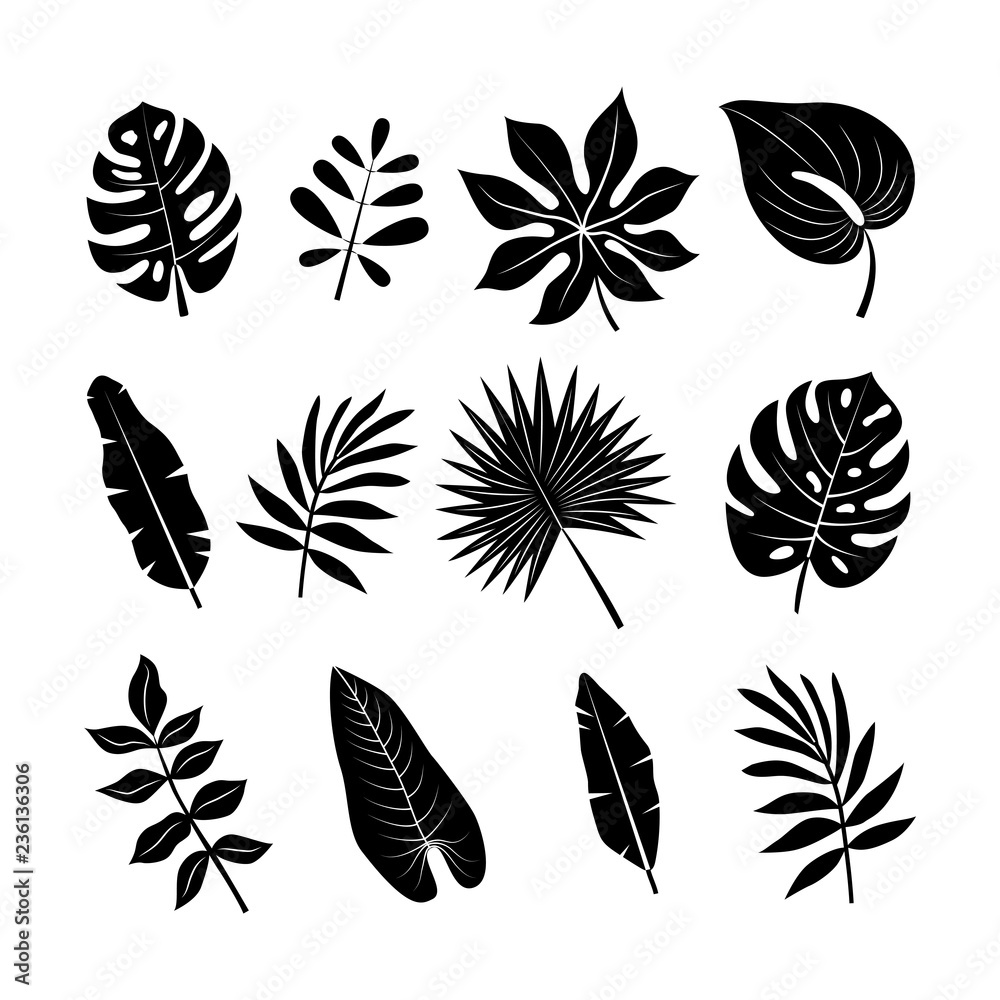 Tropical leaves silhouettes set. Jungle palm leaves collection.