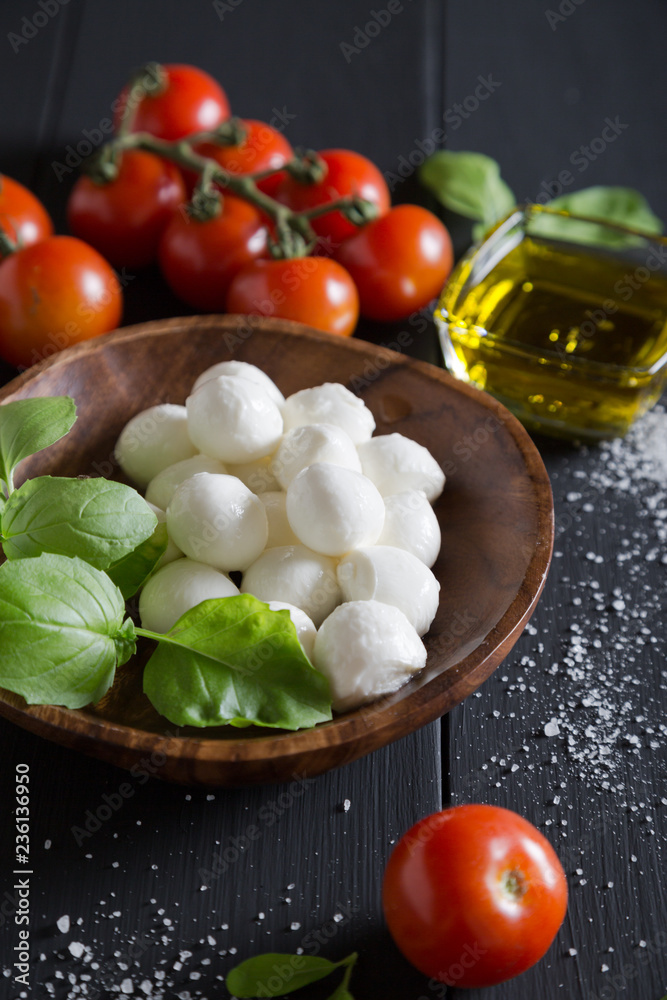 Ingredients for caprese salad. Italian food