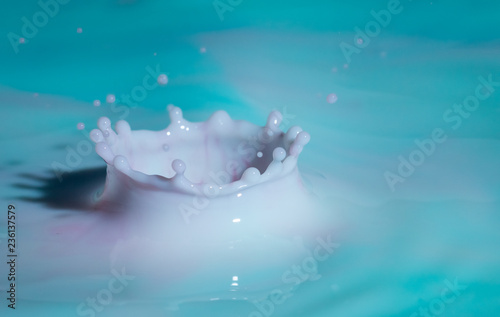 milk drop impact on a body of liquid