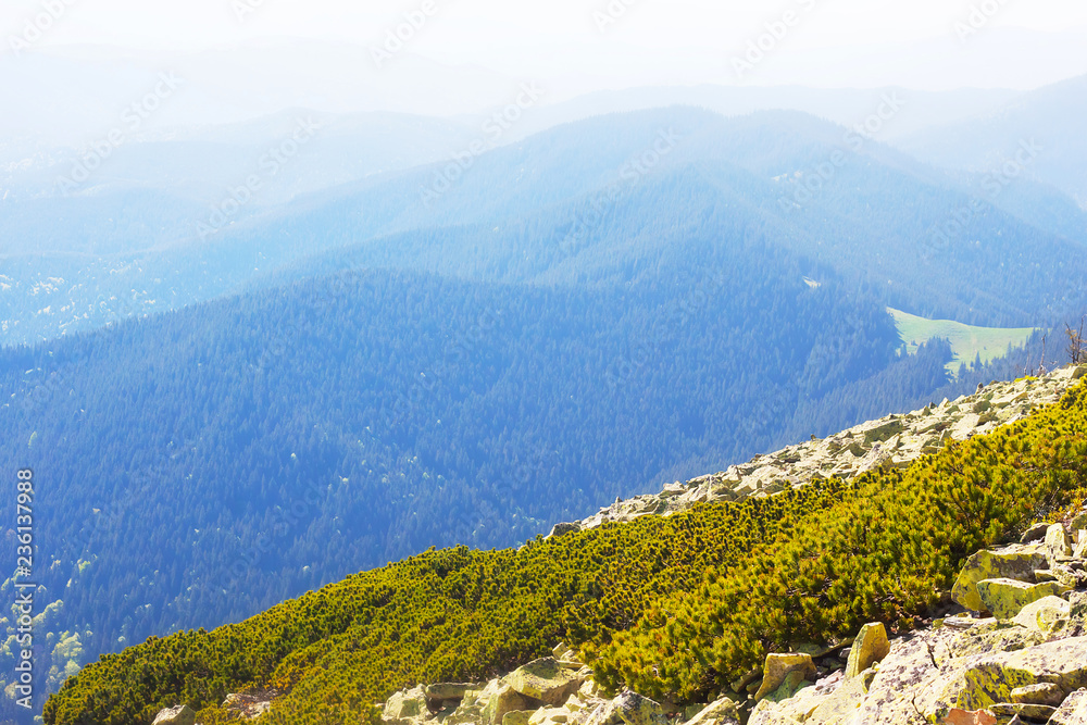 Naklejka premium Fantastic view of Gorgany nature reserve - great concept of hiking in the mountains