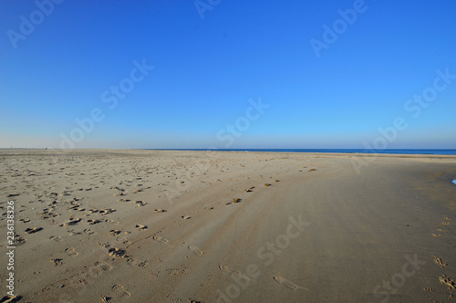 Fototapeta Naklejka Na Ścianę i Meble -   Plaża pod niebieskim bezchmurnym niebem.