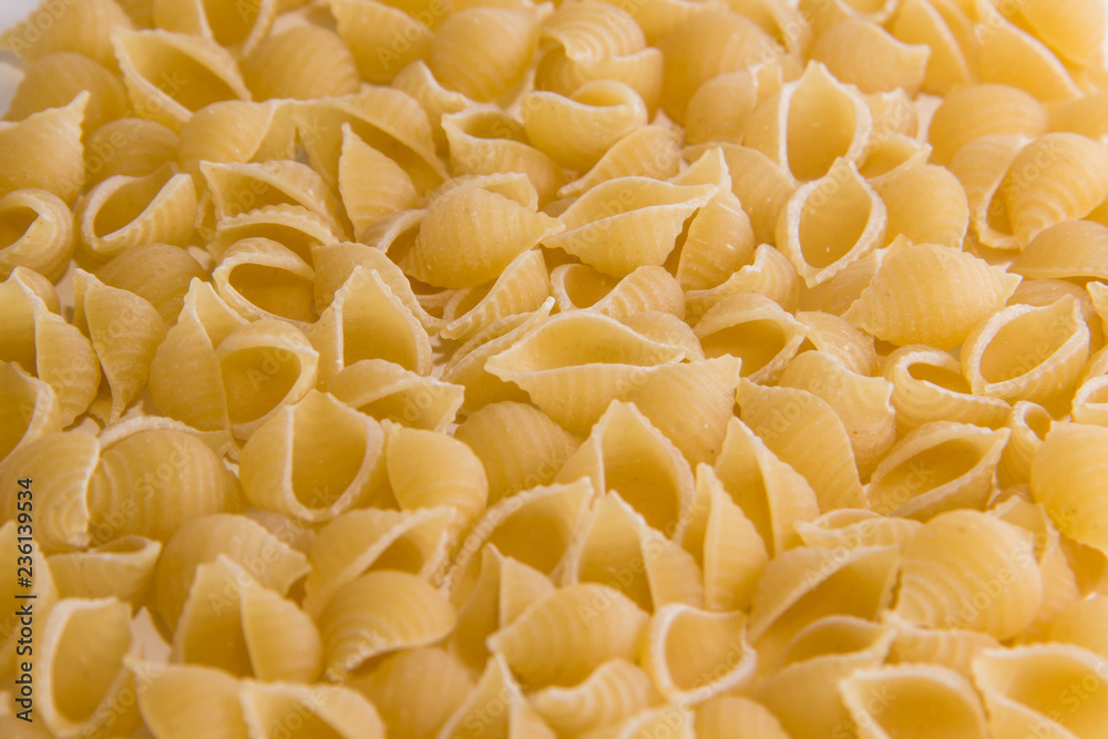 Macaroni in the form of shells approximated macro Macaroni in the form of shells approximated macro