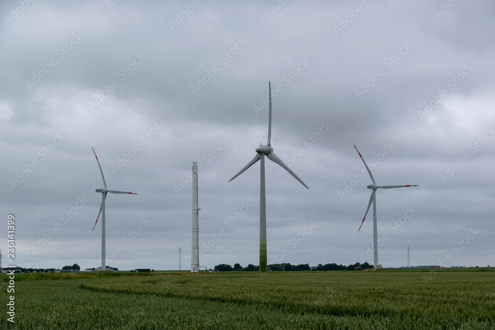 Windkraftpark erzeugt Strom in der Natur