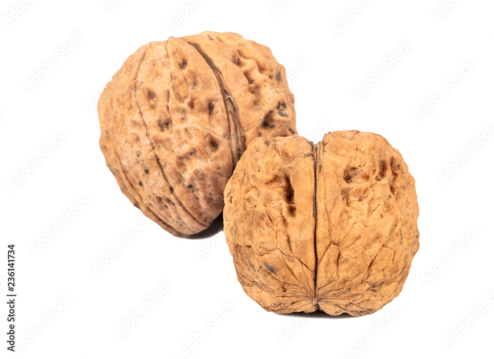 Two large walnuts Two large walnuts