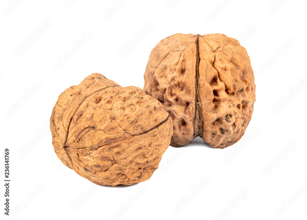 Two large walnuts Two large walnuts