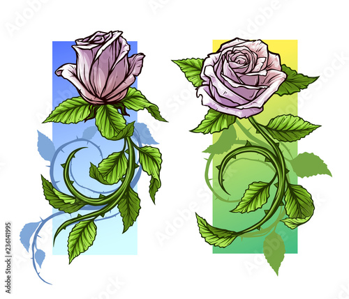 Graphic detailed cartoon pink roses flower with stem and leaves. On white background. Vector icon set.