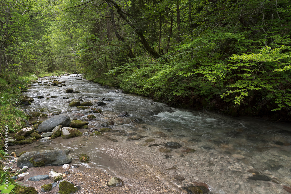 Nötzschbach im Gailtal
