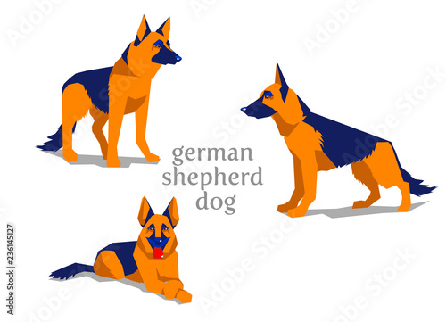 Sheepdog. German shepherd dog  isolated on white background. Vector illustration, clip art, cartoon colors. colorful.