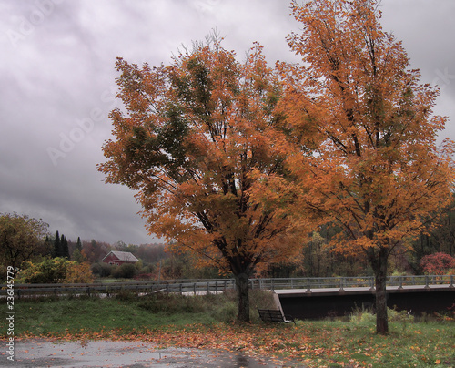 Adirondack scene photo