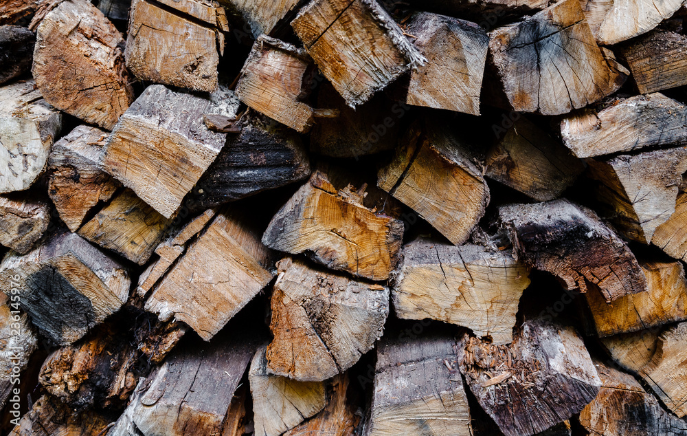 Preparation of firewood for the winter. firewood background, Stacks of firewood in the forest. Pile of firewood. Preparation of firewood for the winter. firewood background, Stacks of firewood in the forest. Pile of firewood.