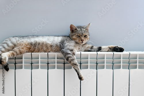 Fototapeta Naklejka Na Ścianę i Meble -  A White heating radiator on the wall.