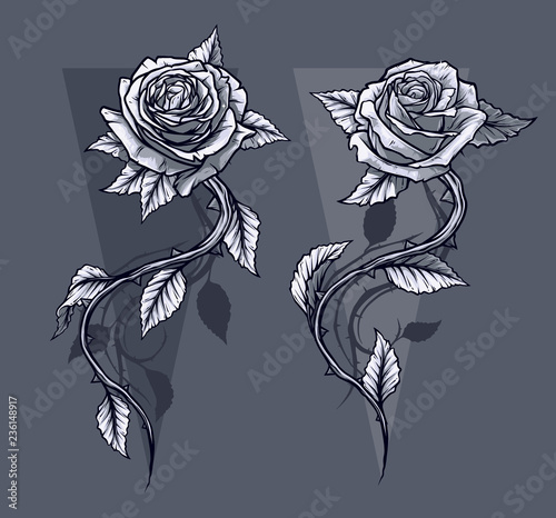 Graphic detailed graphic black and white roses flower with stem and leaves. On gray background. Vector icon set. Vol. 8
