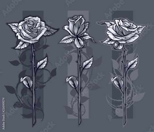 Graphic detailed graphic black and white roses flower with stem and leaves. On gray background. Vector icon set. Vol. 12