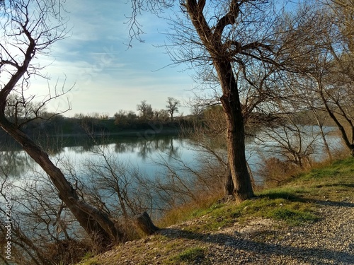 A landscape of the Ebro river in the Galacho del Juslibol rural area, with bare trees and branches during winter, in Zaragoza, Aragon region, Spain
