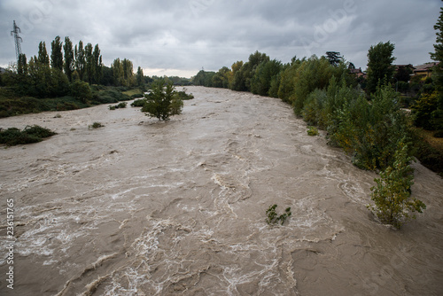 Flood of a river after a period of heavy rain. Trees felled by the water
