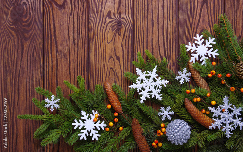 Christmas background with fir branches © Alekss