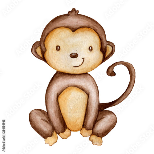 Hand draw watercolor monkey isolated