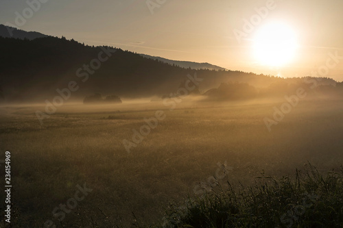 Fototapeta Naklejka Na Ścianę i Meble -  Nebliger Sommermorgen