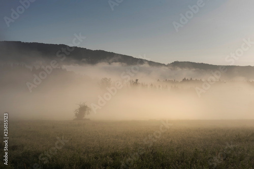 Sommermorgen im Nebel © Hanna Gottschalk