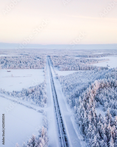 Wallpaper Mural A wintry road in finnish winter wonderland Torontodigital.ca