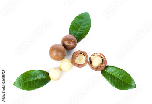 Macadamia nut with leaves on white background.