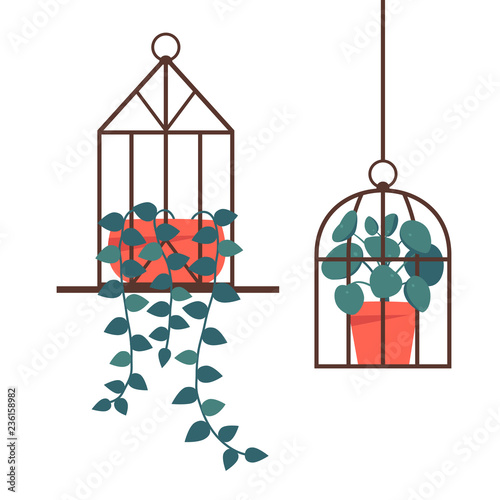 Geometric Standing and hanging terrarium with potted plants: Pilea peperomioides plant, climbing plant, ivy on white background.  Flat colorful vector illustration.