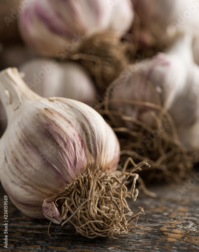 Close-up of freshly picked dry vegetarian garlic on a wooden table with place for text.