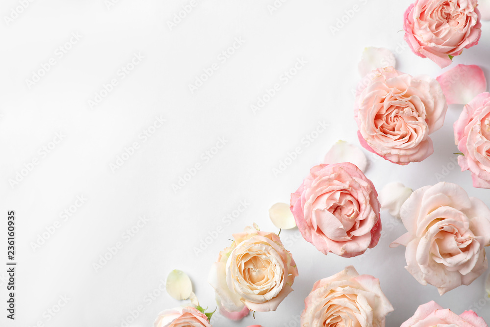 Fototapeta premium Flat lay composition with beautiful roses and space for text on white background
