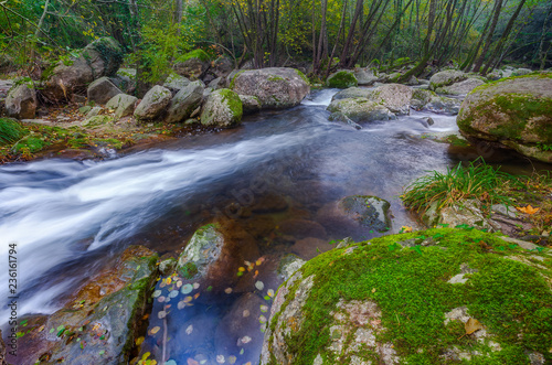 Beautiful creek in the forest in Spain, near the village Les Planes de Hostoles in Catalonia photo