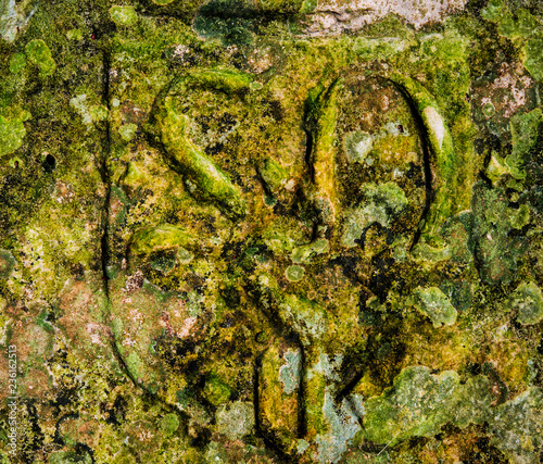 Pierre avec un blason gravé recouverte de mousse verte formant une texture