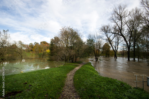 flooded land and trees near river