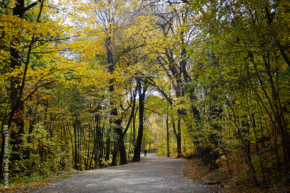 Mount Royal. Montreal 