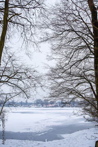 Moody winter landscape with bare trees and frozen lake, with snow-covered houses in background