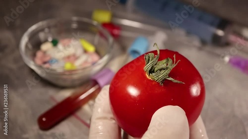 Chemist injecting tomato with pesticides to save market quality of product, gmo
