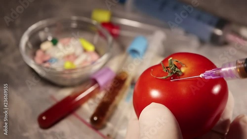 Chemist injecting tomato with pesticides to save market quality of product, gmo