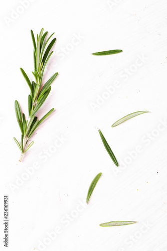 Fresh Rosemary on white background
