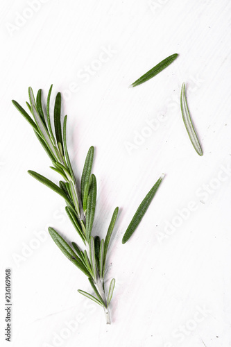 Fresh Rosemary on white background