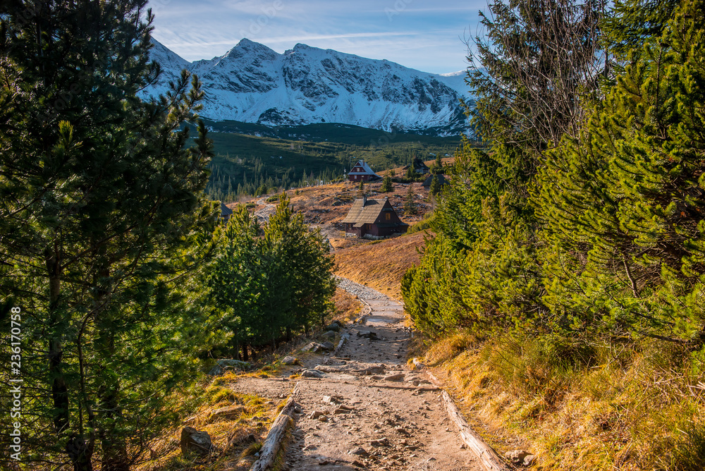 Naklejka premium Hala Gąsienicowa - Jesień 2018