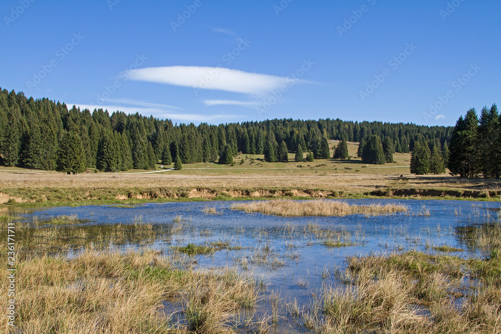 Auf der Hochebene der Vezzena Auf der Hochebene der Vezzena
