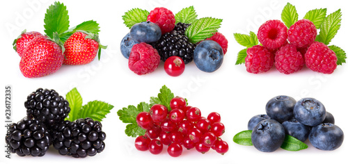 Collection of berries on white background