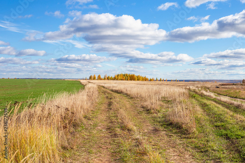 autumn rural landscape in Chuvashia in Russia, shot on a clear day with variable clouds