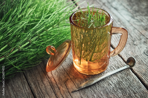 Fototapeta Naklejka Na Ścianę i Meble -  Vintage glass cup of healthy tea or infusion and bunch of horsetail herbs on wooden table. Herbal medicine.