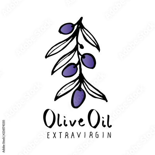 Olive branch with olive leaves hand drawn and handwritten text, isolated on white background