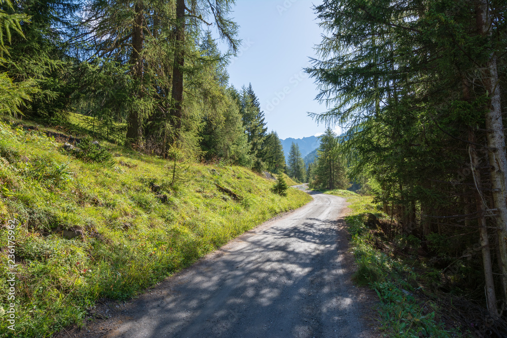 Dieser Teil des Wanderweges im Val Trupchun ist noch außerhalb des Nationalparks.