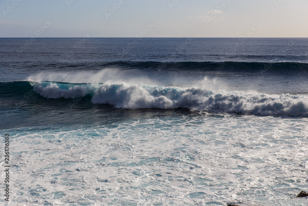 Fototapeta premium surfing on a wave near the beach
