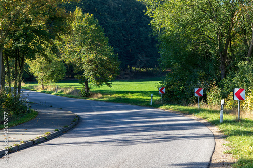 Kurve einer Landstraße, Allee